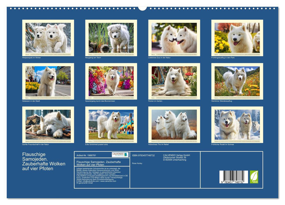 Flauschige Samojeden. Zauberhafte Wolken auf vier Pfoten (CALVENDO Premium Wandkalender 2026)