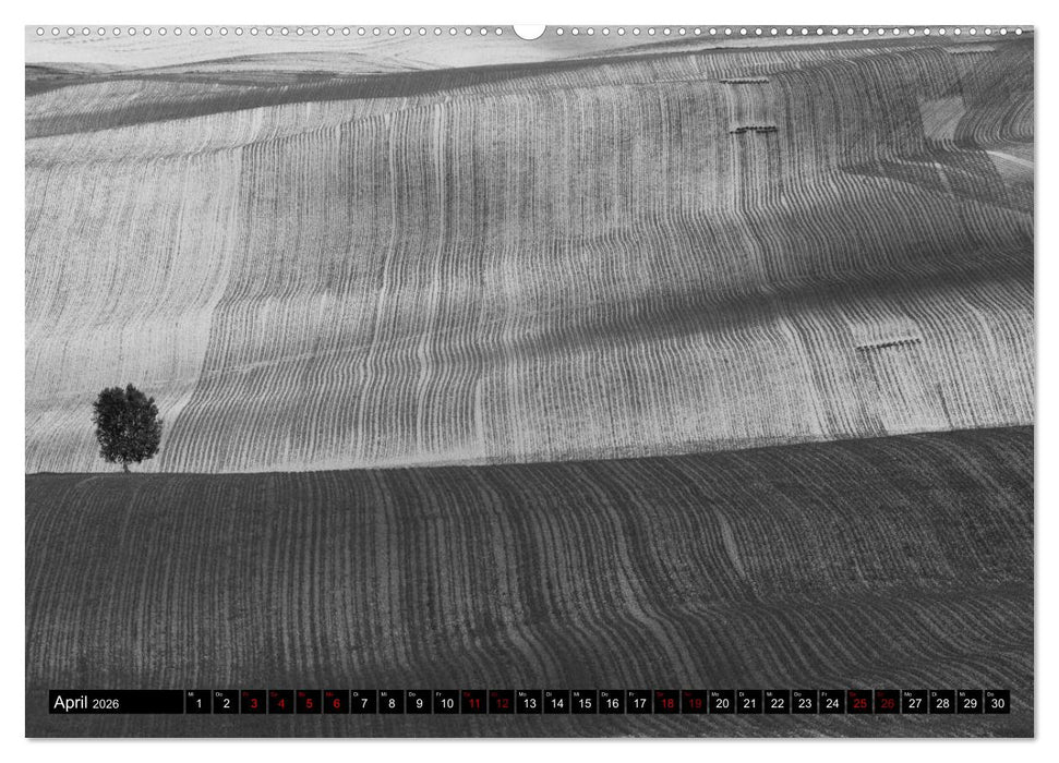 Toscana - monocromatico (CALVENDO Premium Wandkalender 2026)