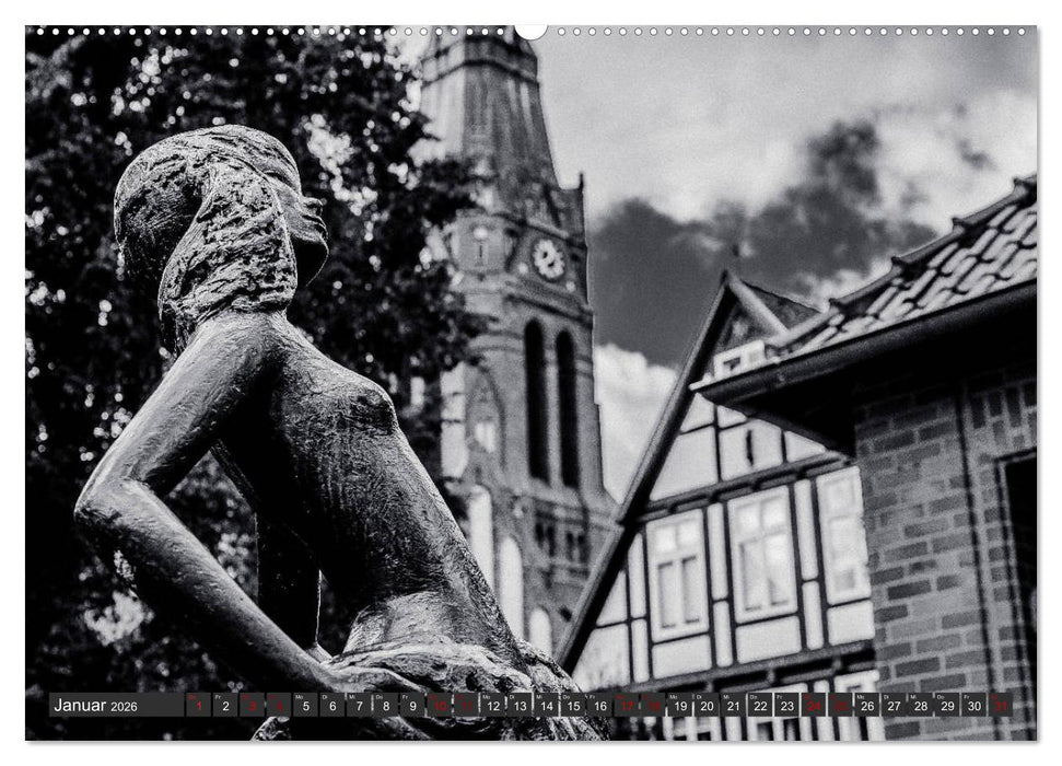 Ein Blick auf Nienburg an der Weser (CALVENDO Premium Wandkalender 2026)