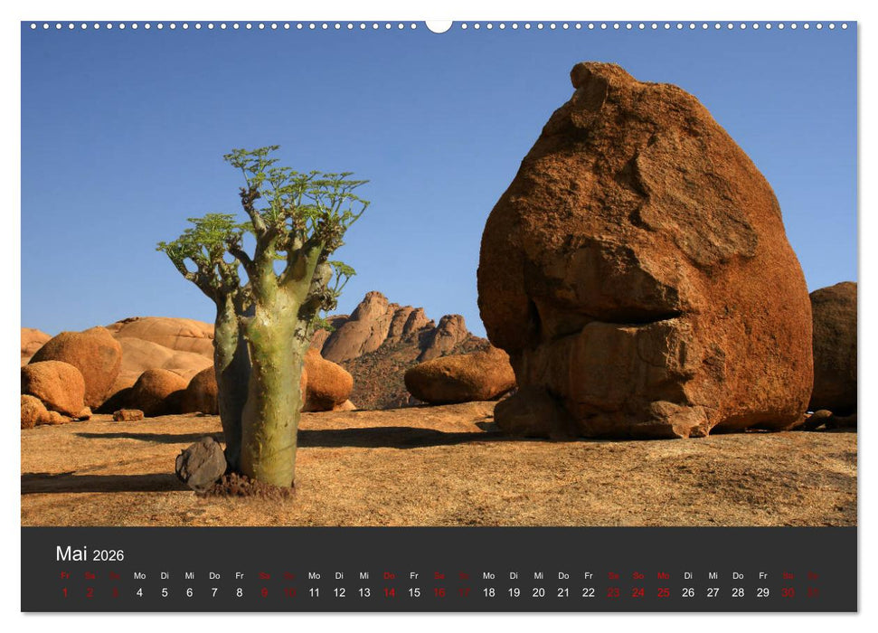 Südafrika - Einzigartige Naturschönheit (CALVENDO Premium Wandkalender 2026)