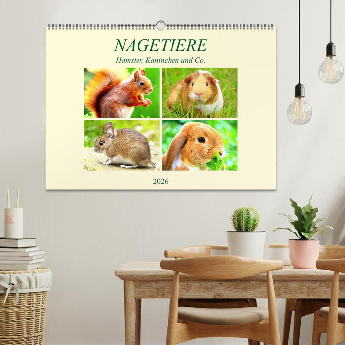 Nagetiere. Hamster, Kaninchen und Co. (CALVENDO Wandkalender 2026)