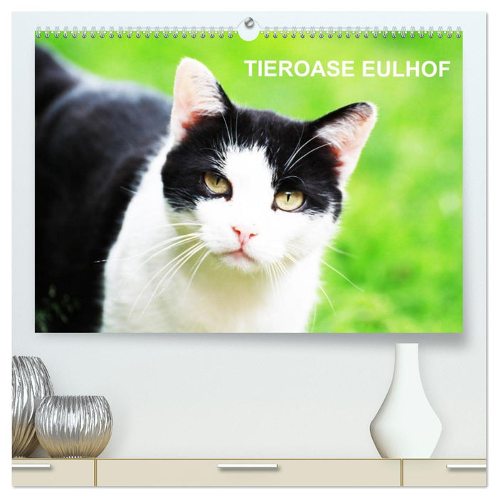 Eulhof (CALVENDO Premium Wandkalender 2026)