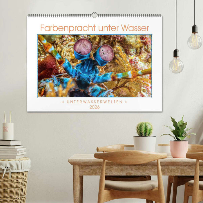 Farbenpracht unter Wasser (CALVENDO Wandkalender 2026)