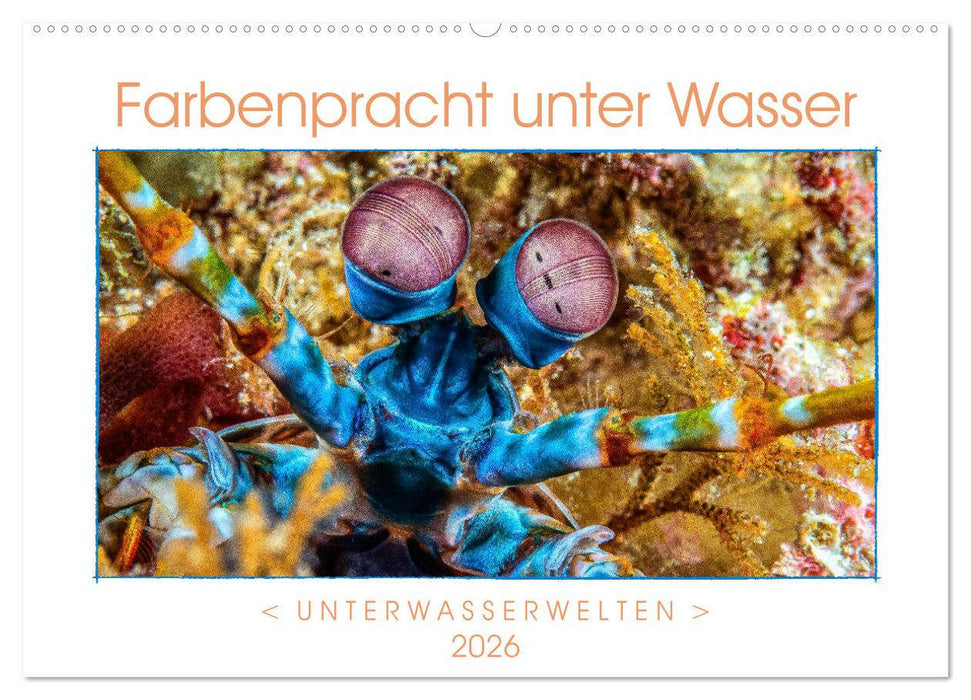 Farbenpracht unter Wasser (CALVENDO Wandkalender 2026)