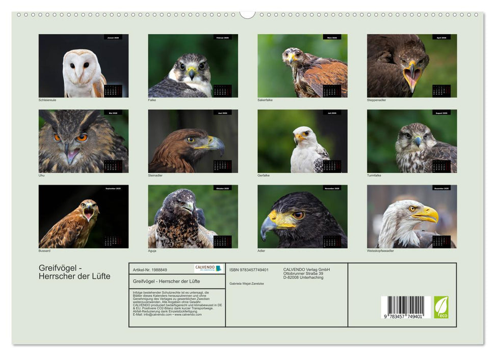 Greifvögel - Herrscher der Lüfte (CALVENDO Premium Wandkalender 2026)