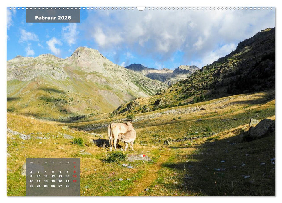Die wilden Pyrenäen (CALVENDO Wandkalender 2026)