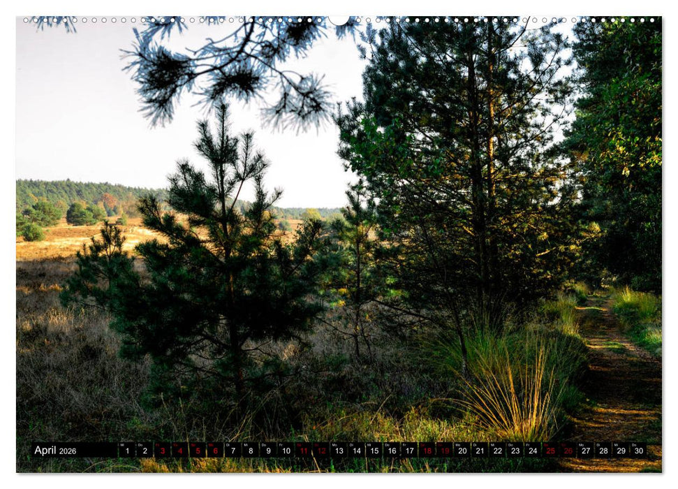 Lüneburger Heide (CALVENDO Premium Wandkalender 2026)