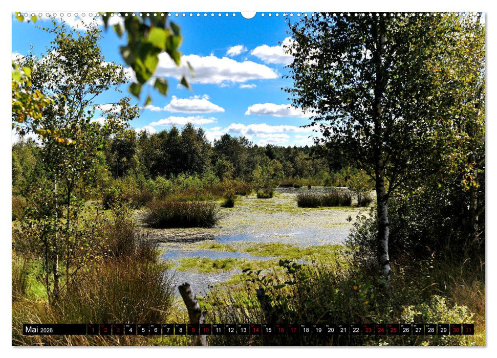 Lüneburger Heide (CALVENDO Premium Wandkalender 2026)