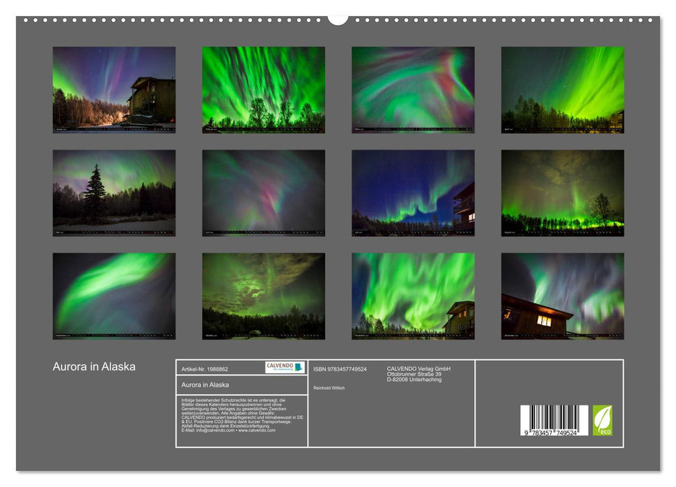 Aurora in Alaska (CALVENDO Premium Wandkalender 2026)