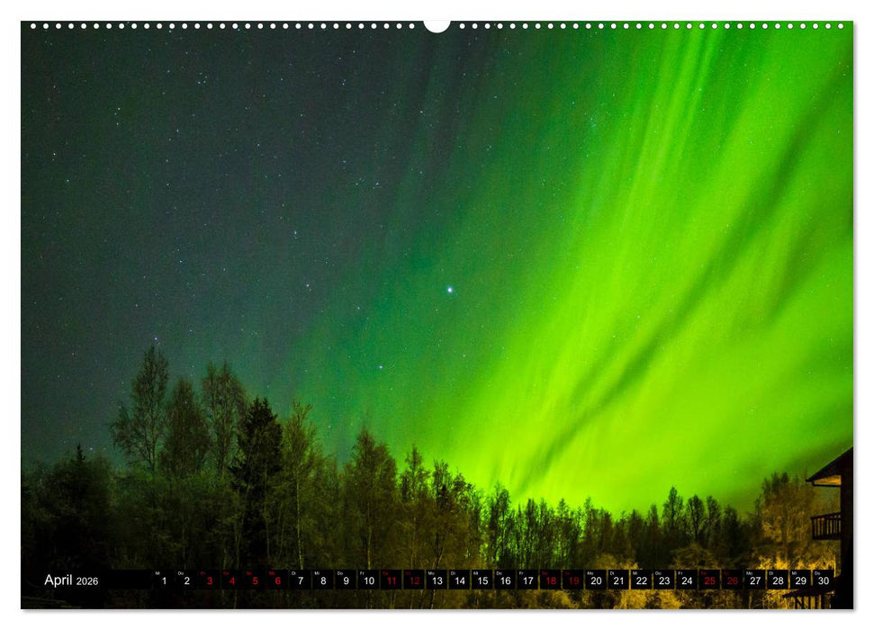 Aurora in Alaska (CALVENDO Premium Wandkalender 2026)