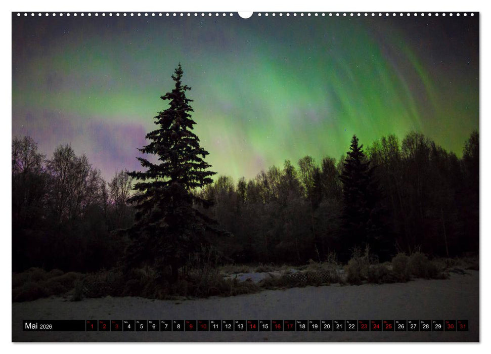 Aurora in Alaska (CALVENDO Premium Wandkalender 2026)
