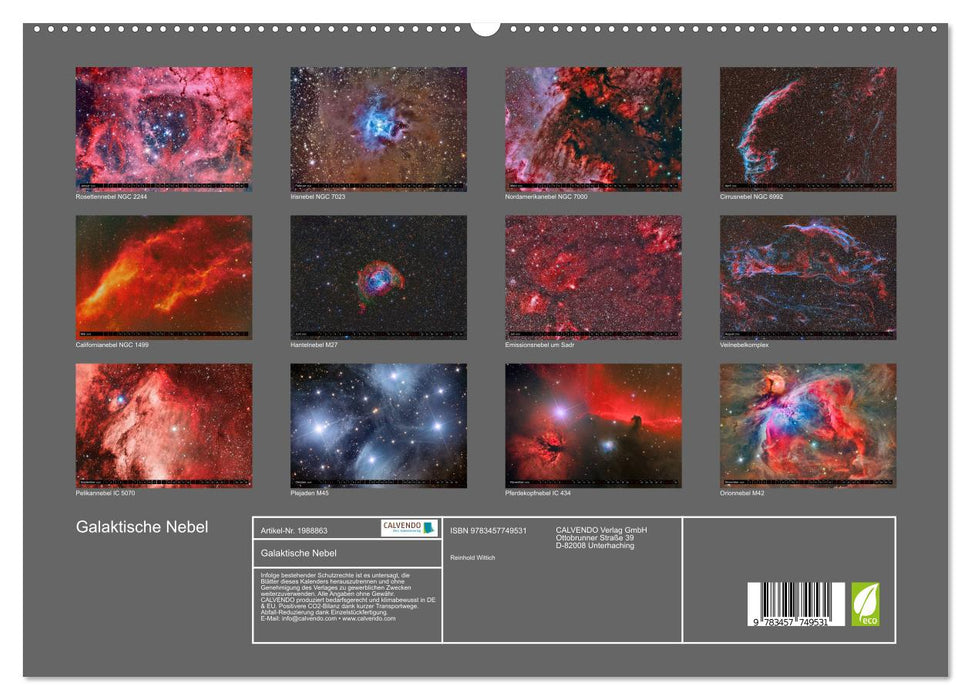 Galaktische Nebel (CALVENDO Premium Wandkalender 2026)