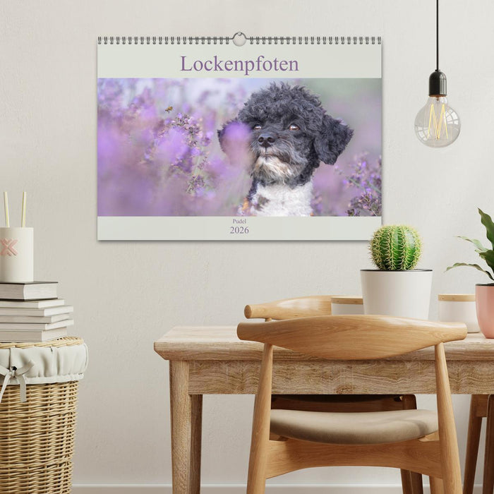 Lockenpfoten 2026 (CALVENDO Wandkalender 2026)