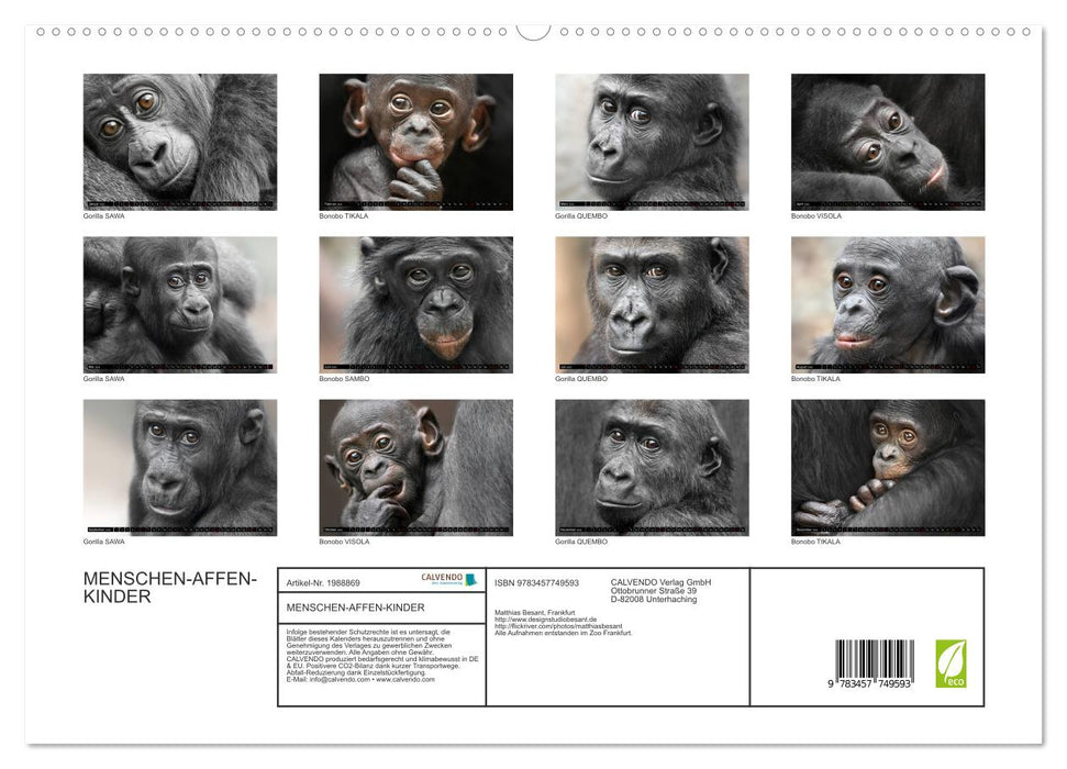 MENSCHEN-AFFEN-KINDER (CALVENDO Premium Wandkalender 2026)