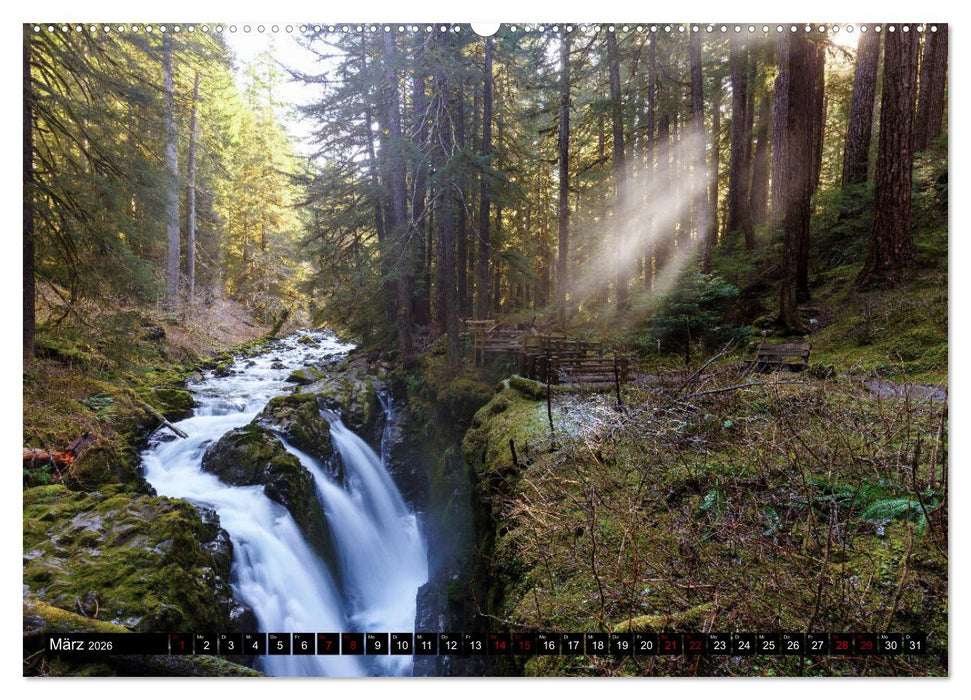 Waldwasser (CALVENDO Premium Wandkalender 2026)