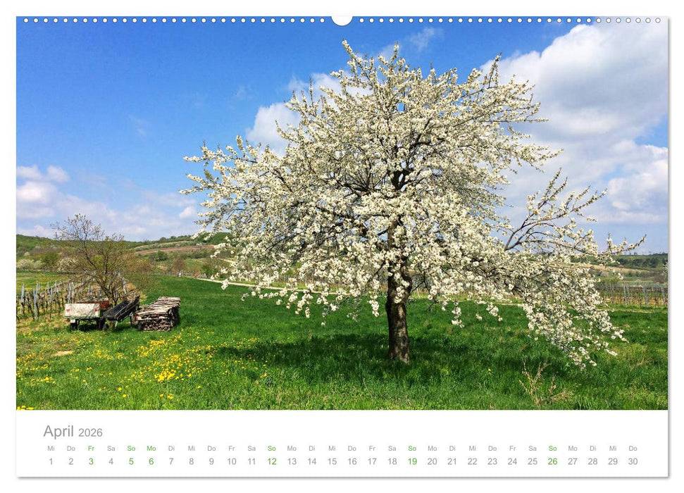 Österreich Rundreise (CALVENDO Premium Wandkalender 2026)