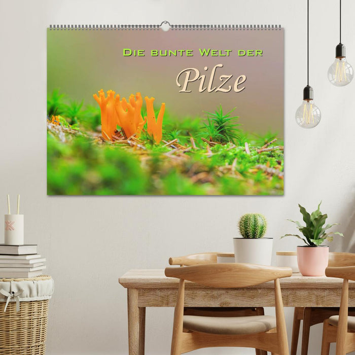Die bunte Welt der Pilze (CALVENDO Wandkalender 2026)
