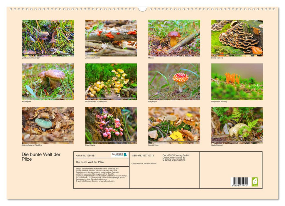 Die bunte Welt der Pilze (CALVENDO Wandkalender 2026)