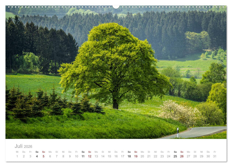 Wunderschöne Bäume im Sauerland (CALVENDO Premium Wandkalender 2026)