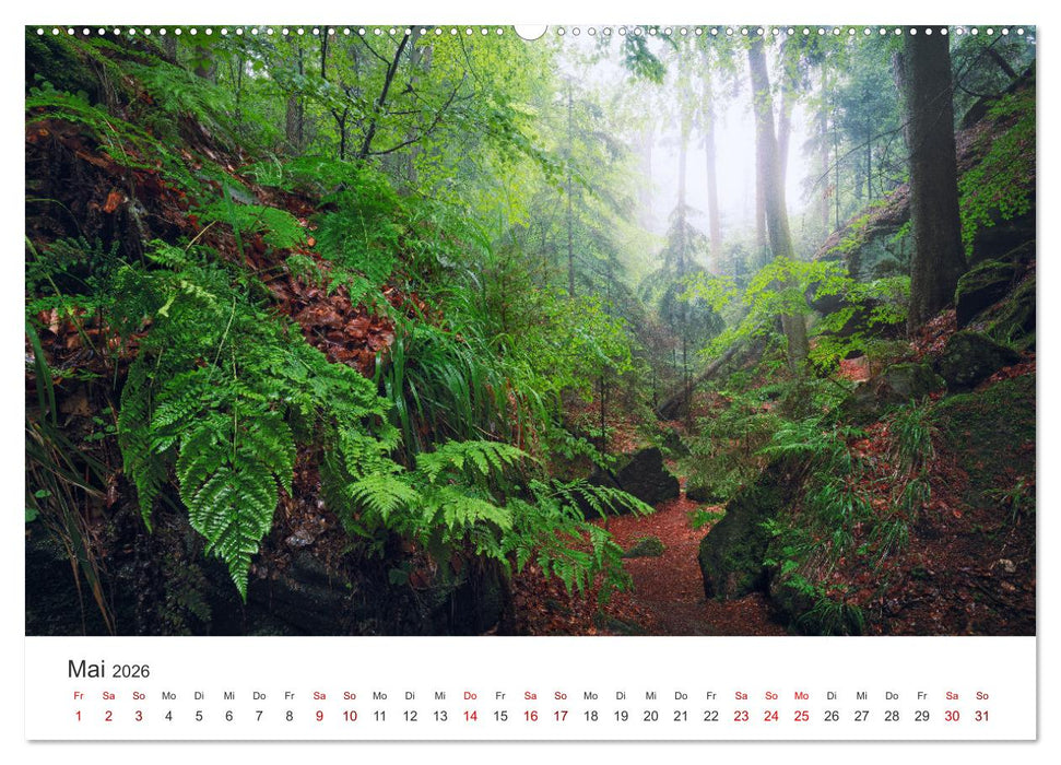 Fränkische Schweiz – Zwischen Burgen, Höhlen und Wäldern (CALVENDO Premium Wandkalender 2026)