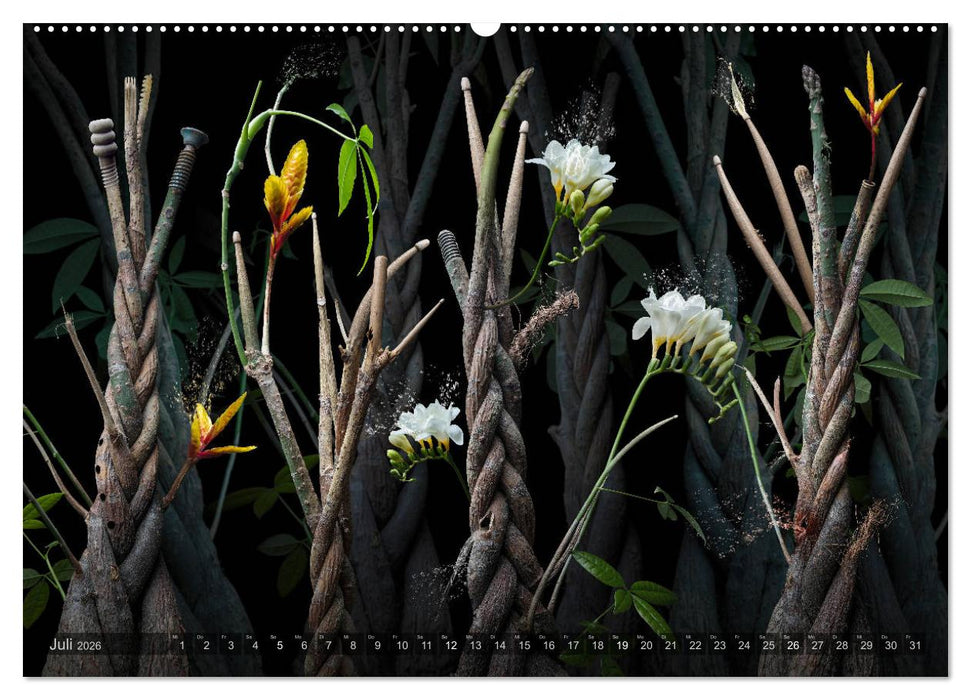 Musica fantásia - Die wundersame Welt des Fotokünstlers Olaf Bruhn (CALVENDO Premium Wandkalender 2026)