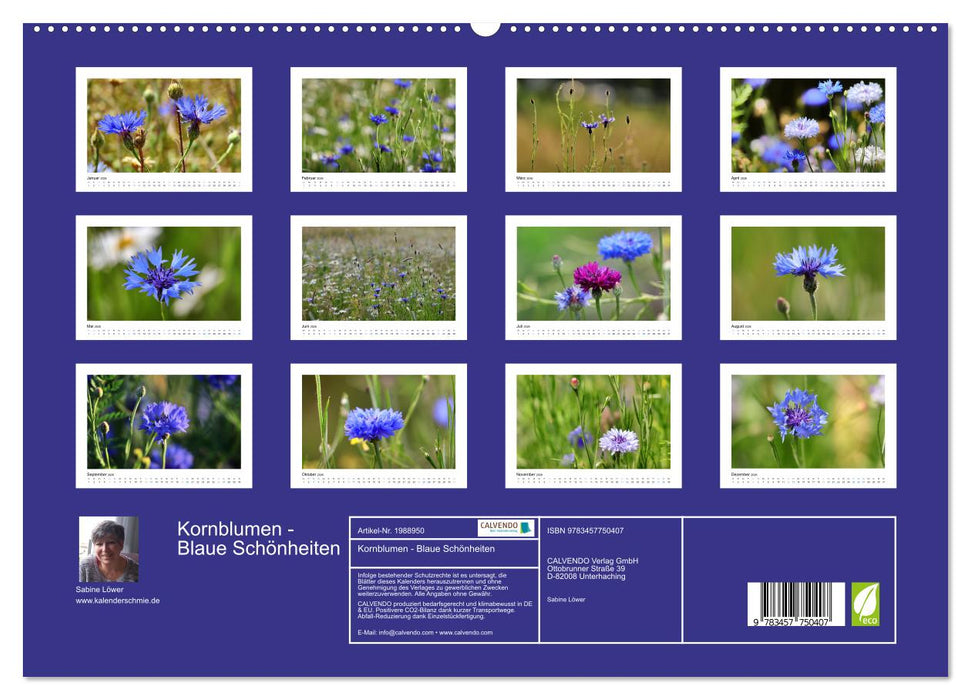 Kornblumen - Blaue Schönheiten (CALVENDO Premium Wandkalender 2026)