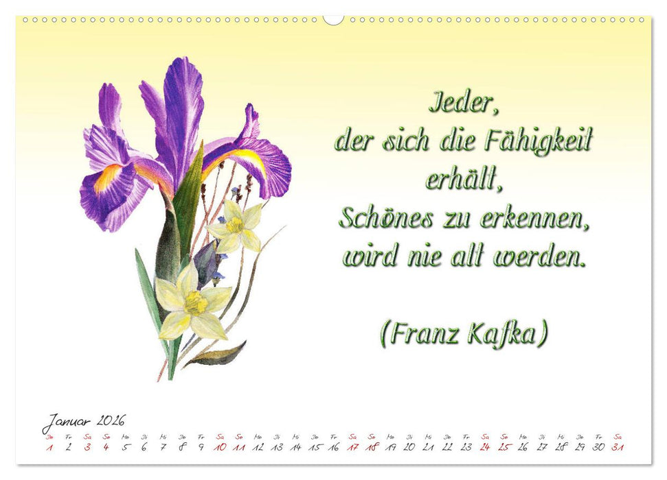 12 unterhaltsame Zitate für ein schönes Jahr (CALVENDO Premium Wandkalender 2026)