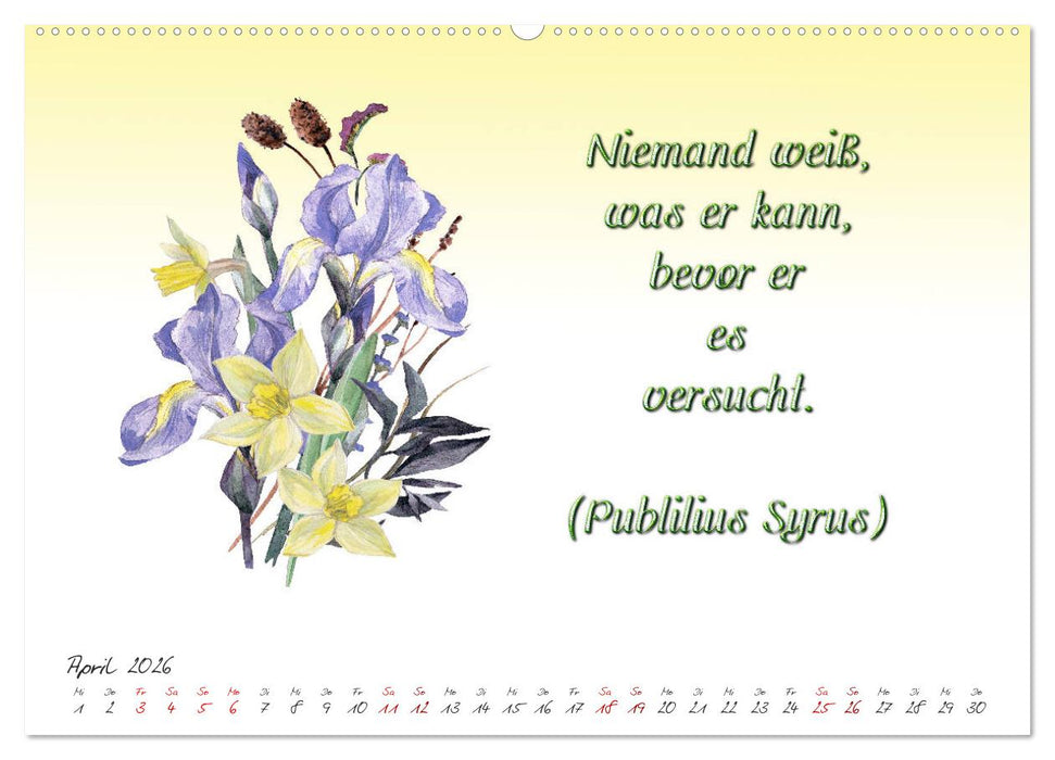 12 unterhaltsame Zitate für ein schönes Jahr (CALVENDO Premium Wandkalender 2026)