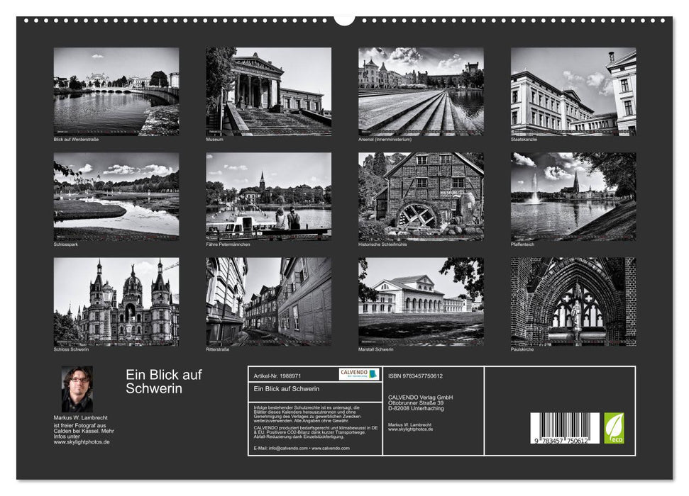 Ein Blick auf Schwerin (CALVENDO Premium Wandkalender 2026)