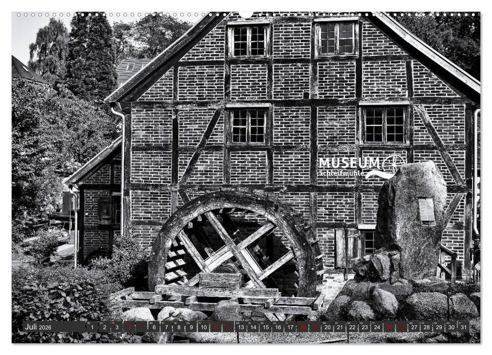 Ein Blick auf Schwerin (CALVENDO Premium Wandkalender 2026)