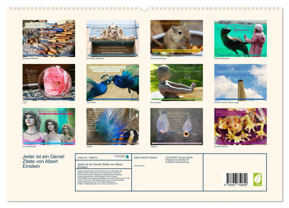 Jeder ist ein Genie! Zitate von Albert Einstein (CALVENDO Premium Wandkalender 2026)