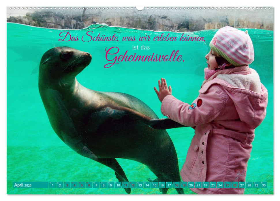 Jeder ist ein Genie! Zitate von Albert Einstein (CALVENDO Premium Wandkalender 2026)