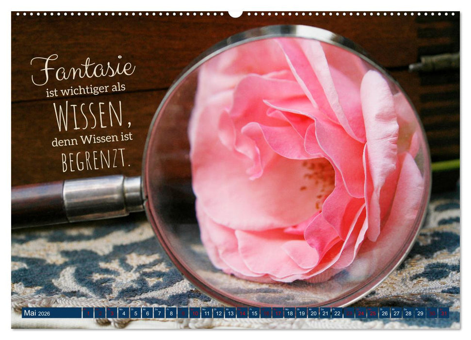 Jeder ist ein Genie! Zitate von Albert Einstein (CALVENDO Premium Wandkalender 2026)