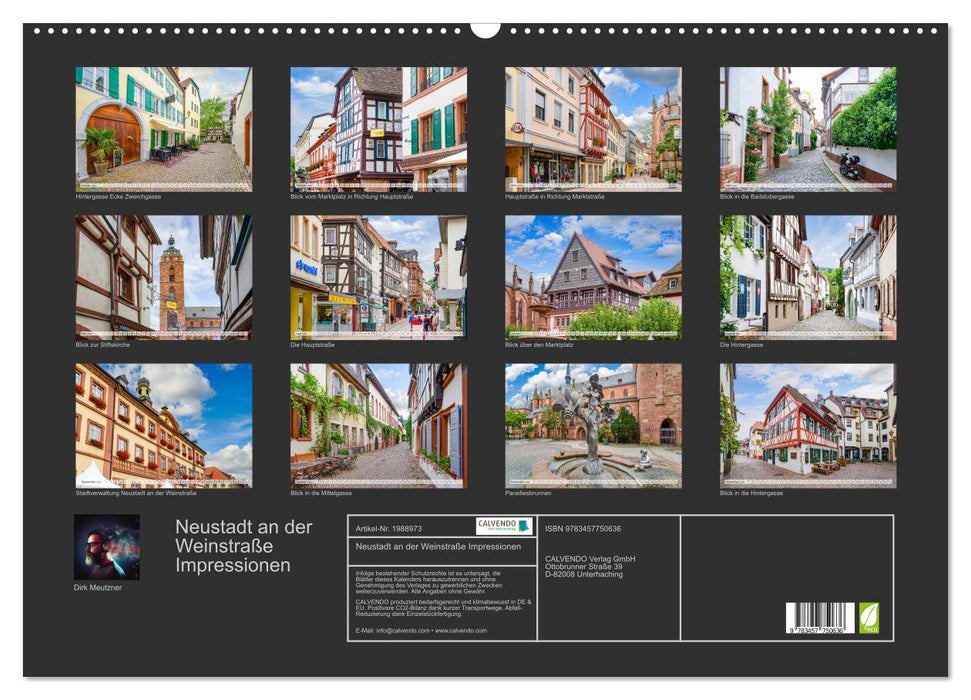 Neustadt an der Weinstraße Impressionen (CALVENDO Wandkalender 2026)
