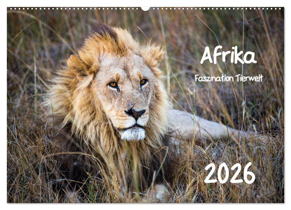 Afrika - Faszination Tierwelt (CALVENDO Wandkalender 2026)