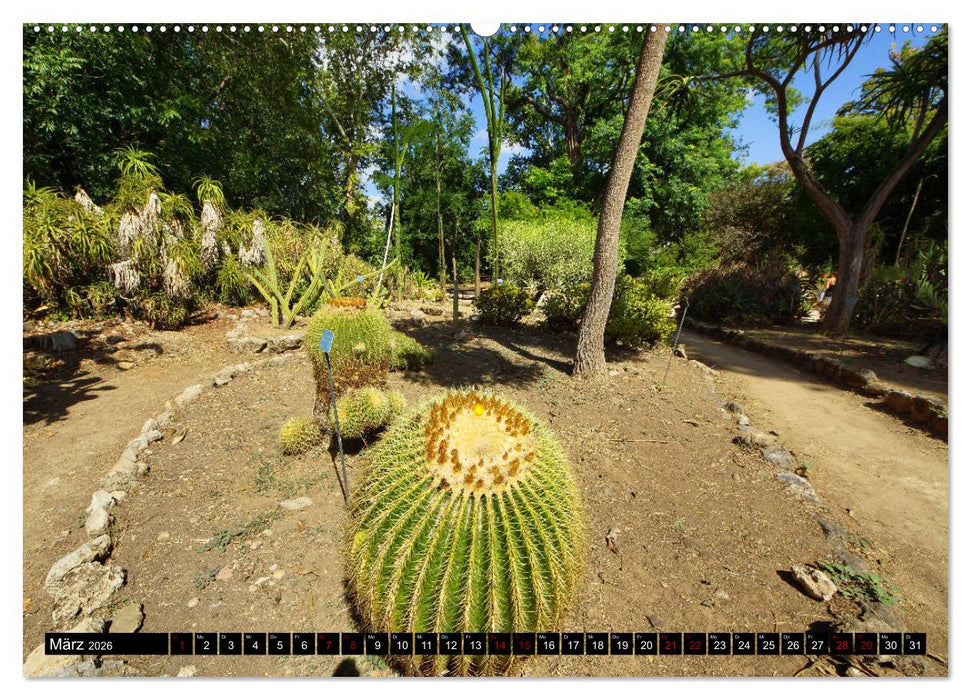 Botanischer Garten Palermo (CALVENDO Premium Wandkalender 2026)