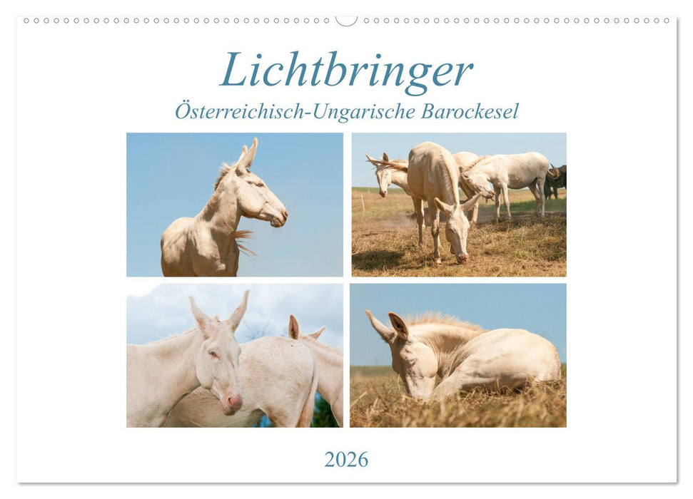 Lichtbringer - Österreichisch-Ungarische Barockesel (CALVENDO Wandkalender 2026)