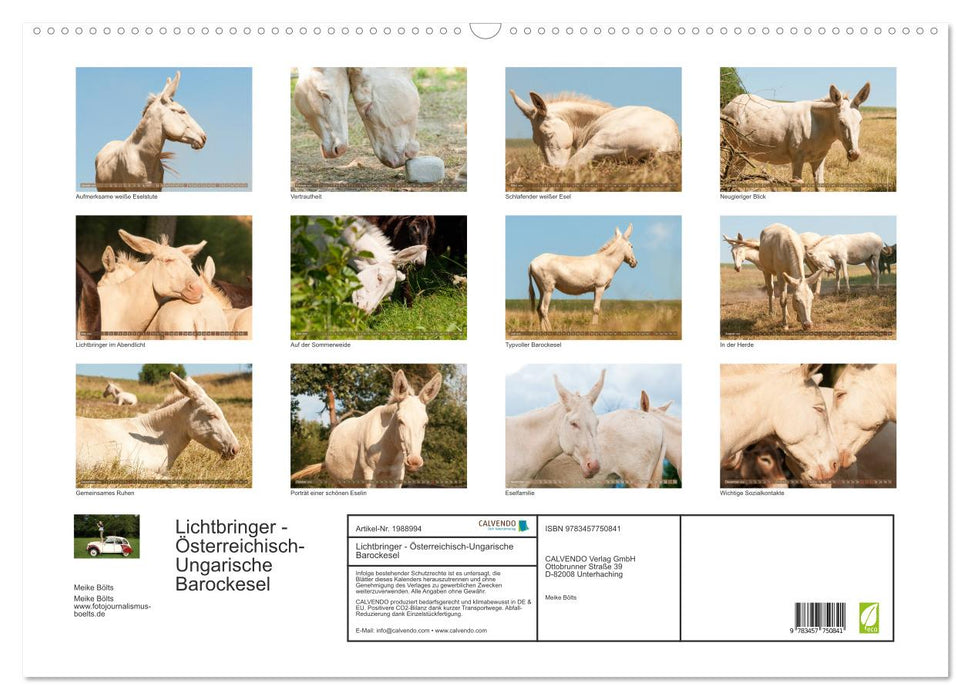 Lichtbringer - Österreichisch-Ungarische Barockesel (CALVENDO Wandkalender 2026)
