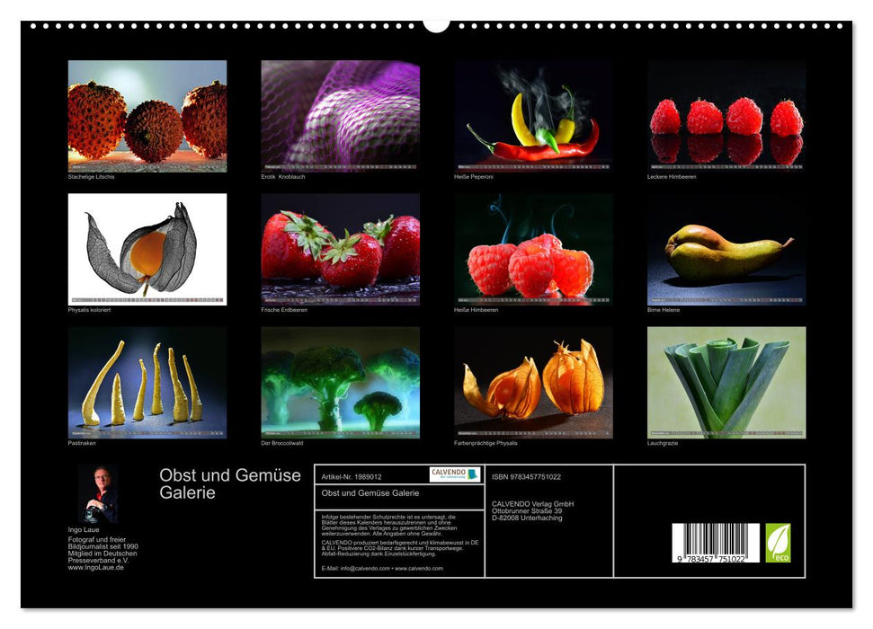 Obst und Gemüse Galerie (CALVENDO Premium Wandkalender 2026)