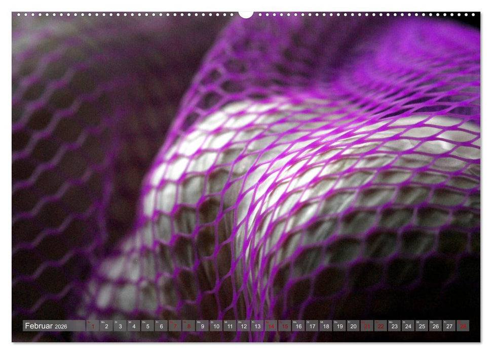 Obst und Gemüse Galerie (CALVENDO Premium Wandkalender 2026)