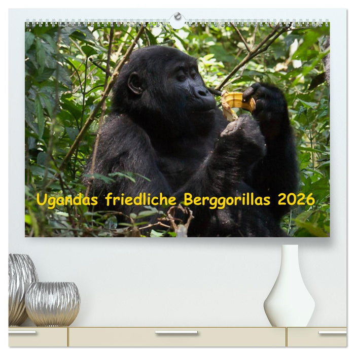 Ugandas friedliche Berggorillas (CALVENDO Premium Wandkalender 2026)