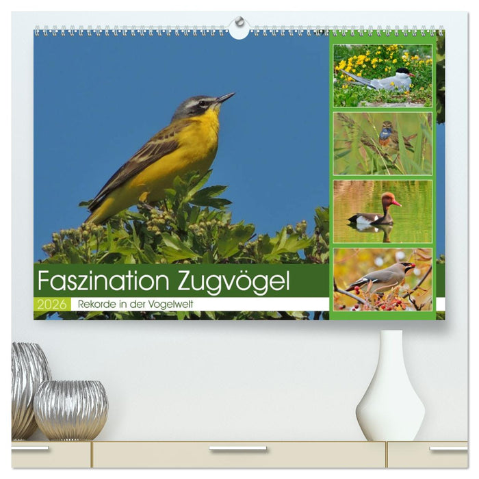 Faszination Zugvögel - Rekorde in der Vogelwelt (CALVENDO Premium Wandkalender 2026)