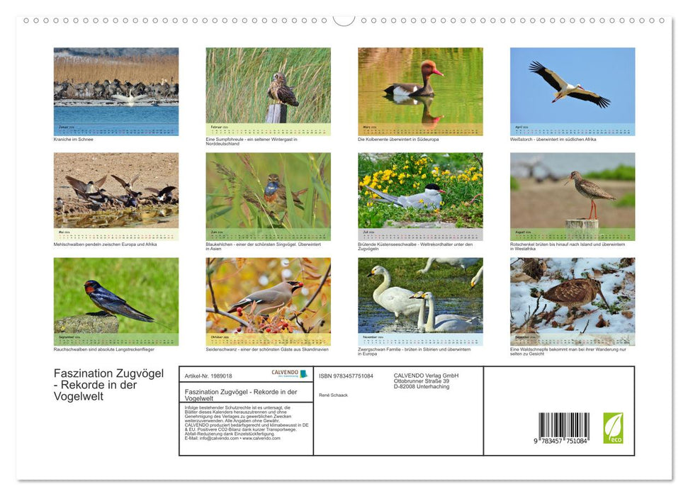 Faszination Zugvögel - Rekorde in der Vogelwelt (CALVENDO Premium Wandkalender 2026)