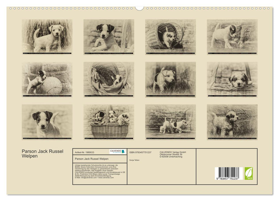 Parson Jack Russel Welpen (CALVENDO Premium Wandkalender 2026)