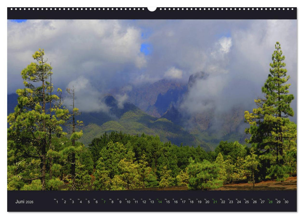 wildes La Palma (CALVENDO Premium Wandkalender 2026)