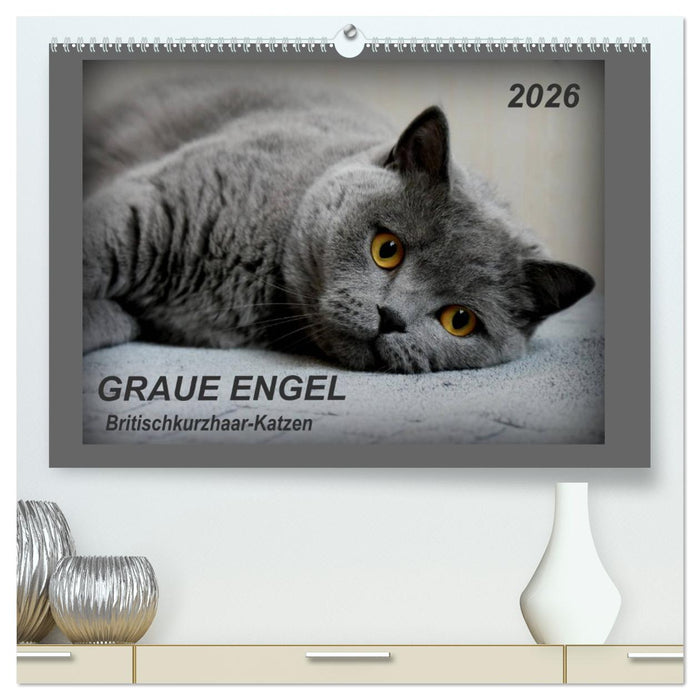 GRAUE ENGEL Britischkurzhaar-Katzen (CALVENDO Premium Wandkalender 2026)