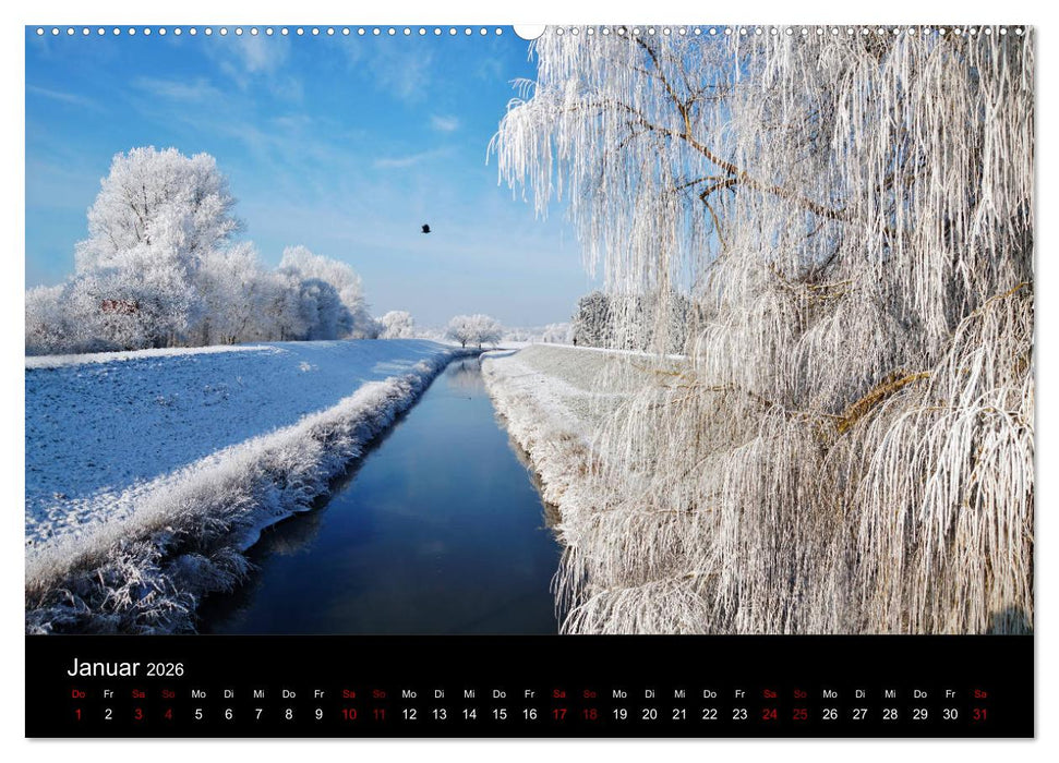 Der Waldspaziergang (CALVENDO Premium Wandkalender 2026)