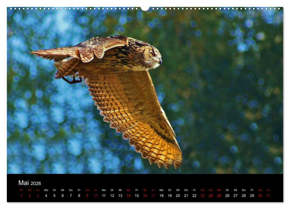 Der Waldspaziergang (CALVENDO Premium Wandkalender 2026)