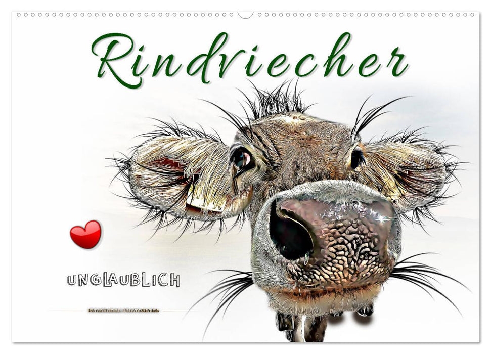 Rindviecher unglaublich (CALVENDO Wandkalender 2026)