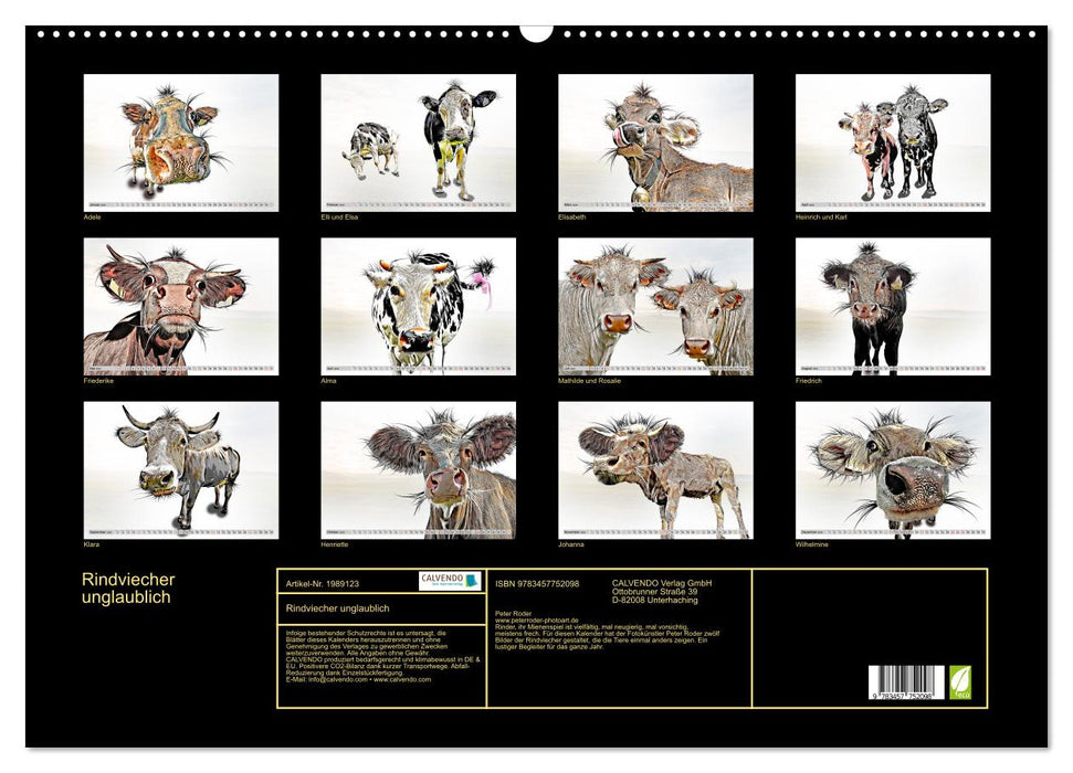Rindviecher unglaublich (CALVENDO Wandkalender 2026)